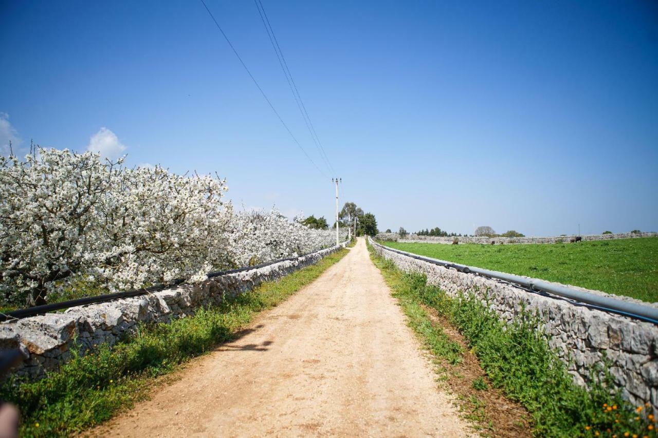 Masseria Guadiano Vecchio Санта-Лючия Экстерьер фото