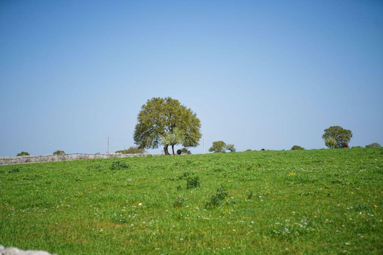 Masseria Guadiano Vecchio Санта-Лючия Экстерьер фото